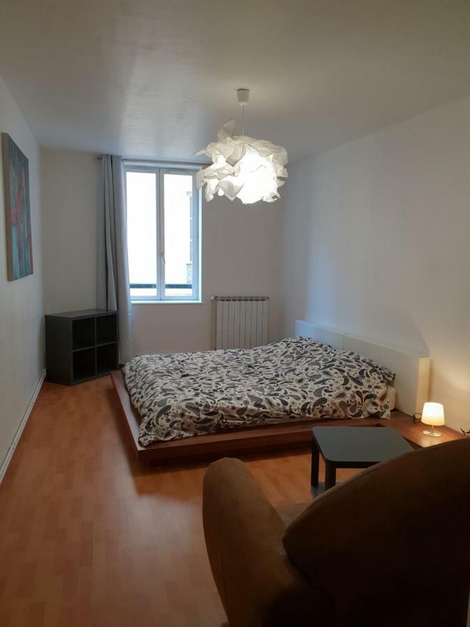 Grand Appartement En Centre Ville Metz Eksteriør billede
